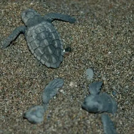 Minta Апарт-отель Дальян