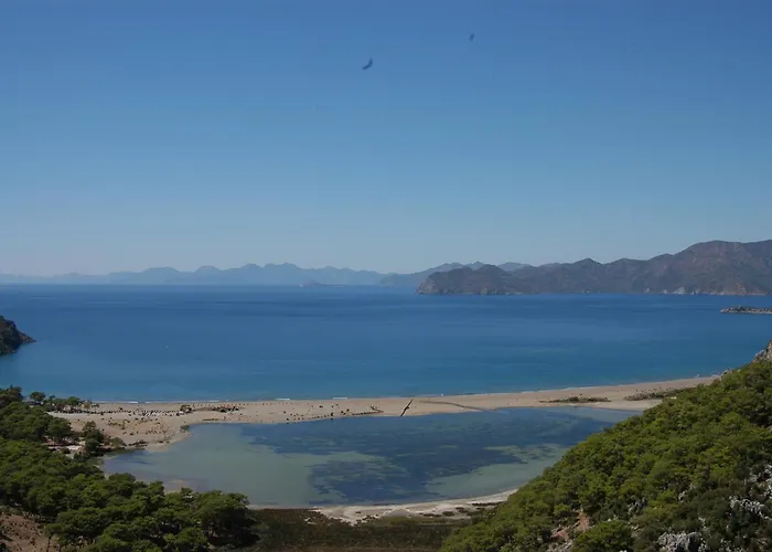 Apart-hotel Minta 4*